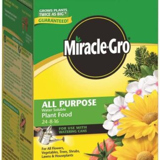 Miracle-Gro 110112 All Purpose Water Soluble Plant Food, 680 g, Pail, 55 sq-m, Medium Blue