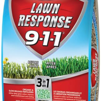 GRASS SEED W/FERTILIZER 4.8KG