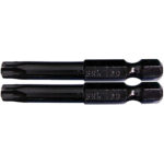 BIT DRIVER TORX T30X2" 2PK (CARDED) BLACK 87451