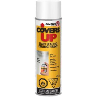 PAINT CEILING SPRAY STAIN SEALING COVERS-UP 454G Z03696