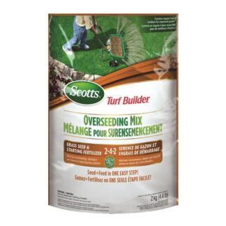 Scotts Turf Builder Overseeding Mix, 2 kg, Bag, 341 sq-m 12416