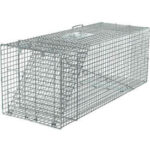 Havahart Extra Large Steel 1-Door Wild Animal Trap