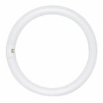 Satco 13W T9 8 Inch Cool White 4 Pin Fluorescent Circline Light Bulb