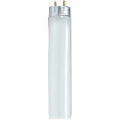 Satco SDNS8420 32-watt T8 Fluorescent Bulbs 30 / Carton White