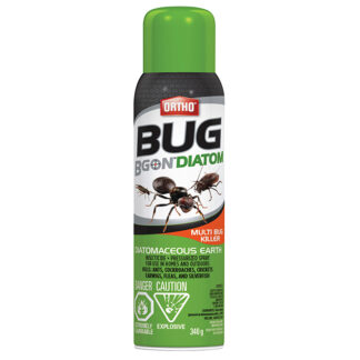 Ortho | Bug B Gon Diatomaceous Multi-Bug Killer Spray - 340 G