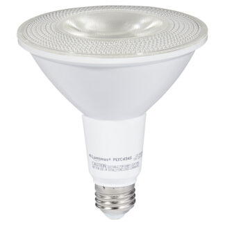Luminus | LED Bulb Par38 17 W - Dimmable - Day Light