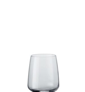 Bormioli Rocco Planeo Stemless Water Glasses (Set of 4)