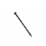 Tree Island 2-in 12.5-Gauge Bright Steel Spiral Nail (800-Count)