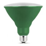 Feit Electric PAR38/G/10KLED/BX LED Bulb, Flood/Spotlight, PAR38 Lamp, E26 Lamp Base, Green Light Sells in Quantity of 4