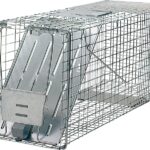 Havahart 1079 Animal Trap, 32 in L, 10 in W, 12 in H, Spring-Loaded Door