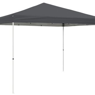 Seasonal Trends VPR10021-0 Canopy, 10 ft L, 10 ft W, 9 ft 1 in H, Steel Frame, Polyester Canopy