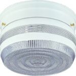 Boston Harbor F14WH02-8002CL3L Two Light Ceiling Fixture, 120 V, 60 W, 2-Lamp, A19 or CFL Lamp, White Fixture