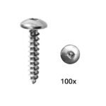 Multinautic 15031 Screw, #10 x 1 in, Stainless Steel