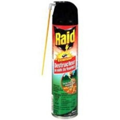 Raid 624135 Ant Nest Destroyer, Spray Application, 400 g, Can Sells in Quantity of 12