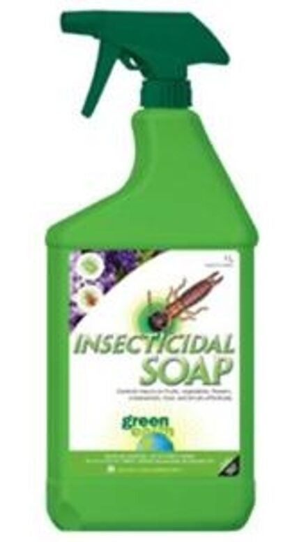 Green Earth 7380120 Insecticide Soap, Spray Application, 1 L Sells in Quantity of 12