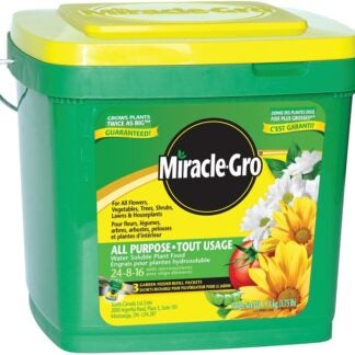 Miracle-Gro 2756910 All-Purpose Plant Food, 3.3 lb, Solid, 24-8-16 N-P-K Ratio