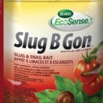 Ortho Slug B Gon ECO 4723612 Slug and Snail Bait, Garden, 500 g Bag