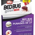 Ortho Bed Bug B Gon 0465610 Bed Bug Trap