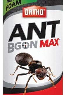 Ortho ANT B Gon Max 0213510 Ant Killer, Foam, Spray Application, Indoor, Outdoor, 400 g Aerosol Can