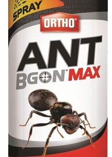 Ortho NT B Gon Max 0213410 Ant and Roach Killer, Liquid, Spray Application, 400 g Aerosol Can