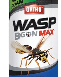 Ortho 0213310 Wasp Killer, Foam, Spray Application, Outdoor, 400 g Can