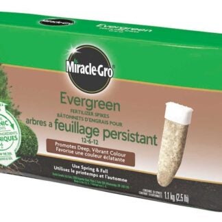 Miracle-Gro 4851212 Evergreen Fertilizer, 1.13 kg Bag, Spike, 12-6-12 N-P-K Ratio