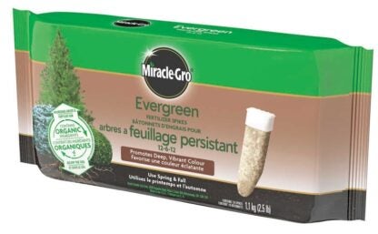 Miracle-Gro 4851212 Evergreen Fertilizer, 1.13 kg Bag, Spike, 12-6-12 N-P-K Ratio