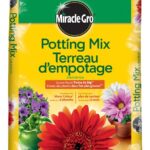 Miracle-Gro 72731431 Potting Mix, 25 L Bag