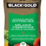 Black Gold 1402040.LT056P Natural and Organic Potting Mix, 56 L