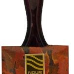 Nour 3751-63N Paint Brush, 2-1/2 in W, Angle Brush, 3 in L Bristle, Nylon/Polyester Bristle, Sash Handle