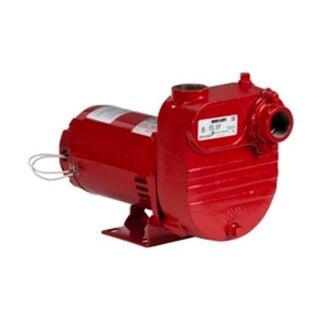 Red Lion 621810 Surface Effluent Pump, 115 V, 0.5 hp, 1-1/4 in Outlet, Cast Iron