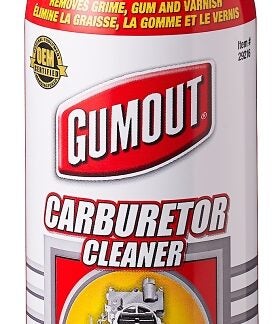 Gumout 29216 Choke and Carb Cleaner, 350 g, Liquid