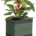 PLANTER POLYP GRN 14X11X13IN