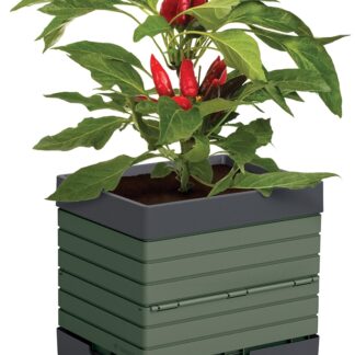 PLANTER POLYP GRN 14X11X13IN