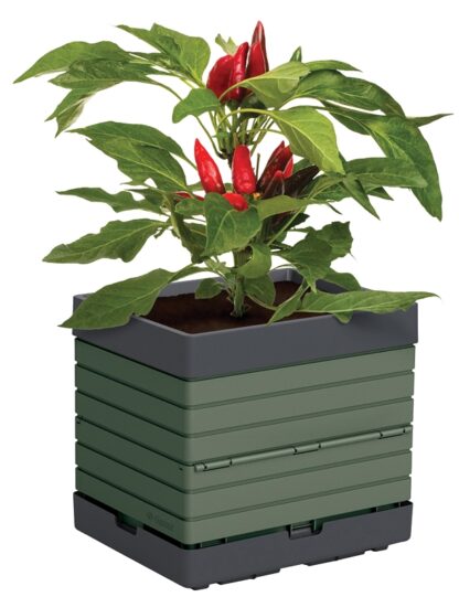 PLANTER POLYP GRN 14X11X13IN