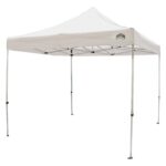 Seasonal Trends 21006906011 Titan Canopy, 10 ft L, 10 ft W, 11.2 ft H, Steel Frame, Polyester Canopy, White Canopy