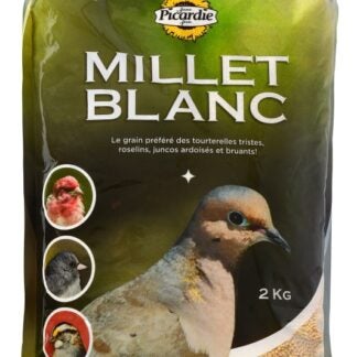 Mon Copain My Buddy 38102 Wild Bird Seed, 2 kg Sells in Quantity of 5