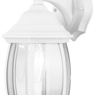 Canarm IOL1211 Outdoor Lantern, 120 V, 100 W, Incandescent Lamp, Aluminum/Steel Fixture, White Fixture