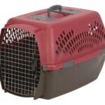 Aspenpet Pet Porter 21090 Fashion Pet Carrier, 26.2 in W, 18.6 in D, 16-1/2 in H, L, Plastic, Black/Deep Red