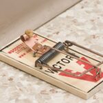 Victor M040 Mouse Trap Sells in Quantity of 72