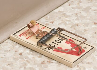 Victor M040 Mouse Trap Sells in Quantity of 72