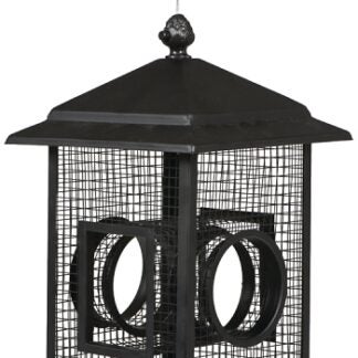 Perky-Pet B00303-2 Wild Bird Feeder, Fly-Thru, 2 lb, Metal