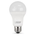 BULB LED ND A19 DLT 5000K 100W