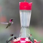 Perky-Pet 9201-6 Top-Fill Pinch-Waist Bird Feeder, 12 oz, Nectar, 5 -Port/Perch, Glass/Plastic, 9-1/2 in H