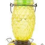 Perky-Pet 9110-2 Top-Fill Bird Feeder, Pineapple Top, 28 oz, Nectar, 5 -Port/Perch, Glass/Plastic, 10.63 in H Sells in Quantity of 2