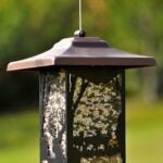 Perky-Pet 8504-2 Wild Bird Feeder, Wilderness Lantern, 2 lb, Metal Sells in Quantity of 2