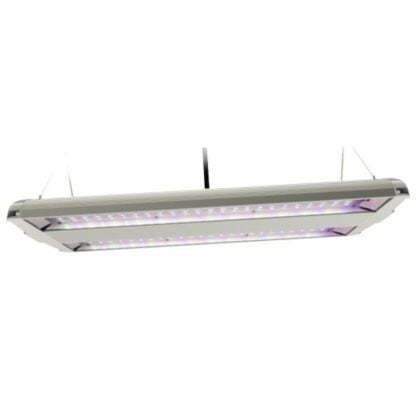 Feit Electric GLP14FS/HB/80W/LED Dual Plant Grow Light, 0.69 A, 120/277 V, LED Lamp, 3000 K Color Temp Sells in Quantity of 2