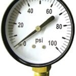 Green Leaf SG 100 1PK Pressure Gauge, Standard