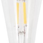 BULB LED ST19 SOFT WHITE 5W