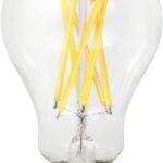 BULB LED A21 CLR DAYLIGHT 13W